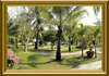 Patong Bayshore Hotel 